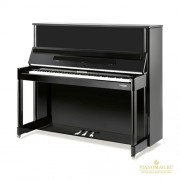 Пианино W.Hoffmann  Professional P-126