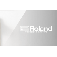 сценическое  цифровое пианино Roland  (4)
